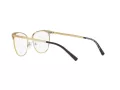 Michael Kors Nao Naočale MK 3018 1195
