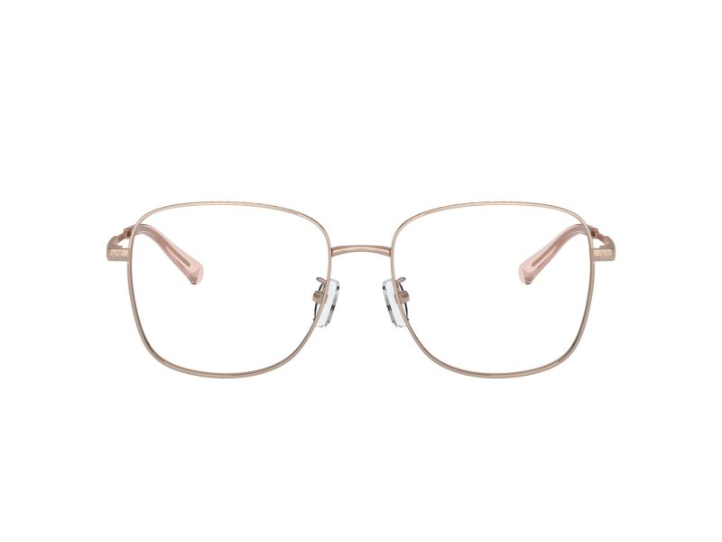 Michael Kors Borneo Naočale MK 3074D 1108