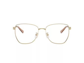 Michael Kors Shanghai Naočale 3081D 1014