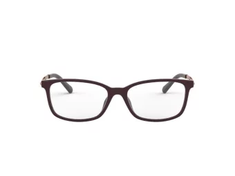 Michael Kors Telluride Naočale MK 4060U 3344