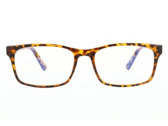 Naočale za računalo BLF73A