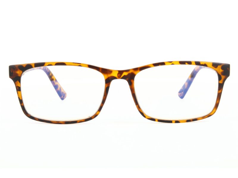 Naočale za računalo BLF73A