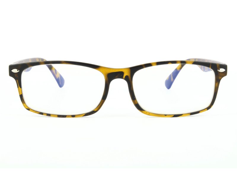Naočale za računalo BLF83A