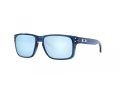 Oakley Holbrook Xs Sunčane Naočale OJ 9007 22