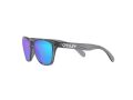Oakley Frogskins Xxs Sunčane Naočale OJ 9009 02