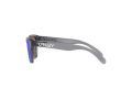 Oakley Frogskins Xxs Sunčane Naočale OJ 9009 02