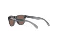 Oakley Frogskins Xxs Sunčane Naočale OJ 9009 02