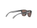 Oakley Frogskins Xxs Sunčane Naočale OJ 9009 02