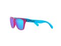 Oakley Frogskins Xxs Sunčane Naočale OJ 9009 04