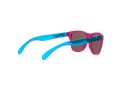 Oakley Frogskins Xxs Sunčane Naočale OJ 9009 04