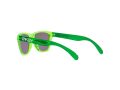 Oakley Frogskins Xxs Sunčane Naočale OJ 9009 05