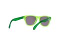 Oakley Frogskins Xxs Sunčane Naočale OJ 9009 05