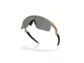 Oakley Resistor Sunčane Naočale OJ 9010 32