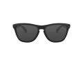 Oakley Frogskins Sunčane Naočale OO 9013 24-306