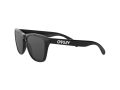 Oakley Frogskins Sunčane Naočale OO 9013 24-306