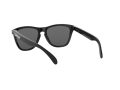 Oakley Frogskins Sunčane Naočale OO 9013 24-306
