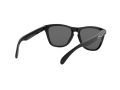 Oakley Frogskins Sunčane Naočale OO 9013 24-306