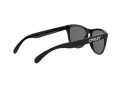 Oakley Frogskins Sunčane Naočale OO 9013 24-306