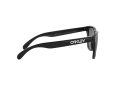 Oakley Frogskins Sunčane Naočale OO 9013 24-306