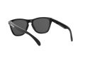 Oakley Frogskins Sunčane Naočale OO 9013 C4