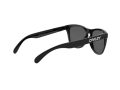 Oakley Frogskins Sunčane Naočale OO 9013 C4