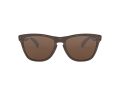 Oakley Frogskins Sunčane Naočale OO 9013 C5