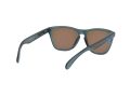 Oakley Frogskins Sunčane Naočale OO 9013 F6