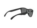 Oakley Frogskins Sunčane Naočale OO 9013 F7