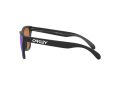 Oakley Frogskins Sunčane Naočale OO 9013 H6
