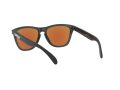Oakley Frogskins Sunčane Naočale OO 9013 H6