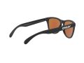 Oakley Frogskins Sunčane Naočale OO 9013 H6