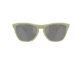 Oakley Frogskins Sunčane Naočale OO 9013 M2