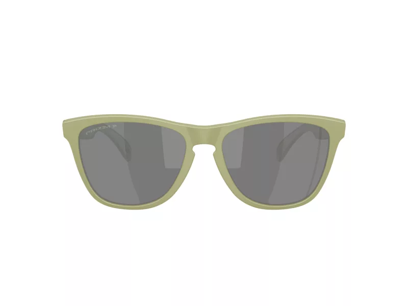 Oakley Frogskins Sunčane Naočale OO 9013 M2