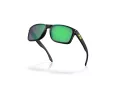 Oakley Holbrook Sunčane Naočale OO 9102 AI