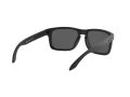 Oakley Holbrook Sunčane Naočale OO 9102 D6