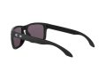 Oakley Holbrook Sunčane Naočale OO 9102 E8