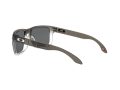 Oakley Holbrook Sunčane Naočale OO 9102 O2