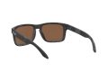Oakley Holbrook Sunčane Naočale OO 9102 O3