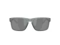Oakley Holbrook Sunčane Naočale OO 9102 Z4