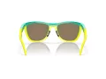 Oakley Frogskins Hybrid Sunčane Naočale OO 9289 02