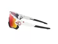 Oakley Jawbreaker Sunčane Naočale 9290 05