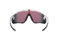 Oakley Jawbreaker Sunčane Naočale 9290 05