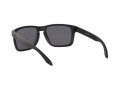 Oakley Holbrook Xl Sunčane Naočale OO 9417 05