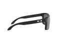 Oakley Holbrook Xl Sunčane Naočale OO 9417 16