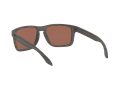 Oakley Holbrook Xl Sunčane Naočale OO 9417 19