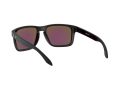Oakley Holbrook Xl Sunčane Naočale OO 9417 21