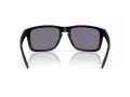 Oakley Holbrook Xxl Sunčane Naočale OO 9487 01