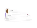 Oakley Instagator Sunčane Naočale OO 9514 06