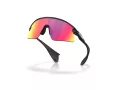 Oakley Stunt Devil Sunčane Naočale OO 9517 02