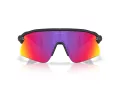 Oakley Stunt Devil Sunčane Naočale OO 9517 02